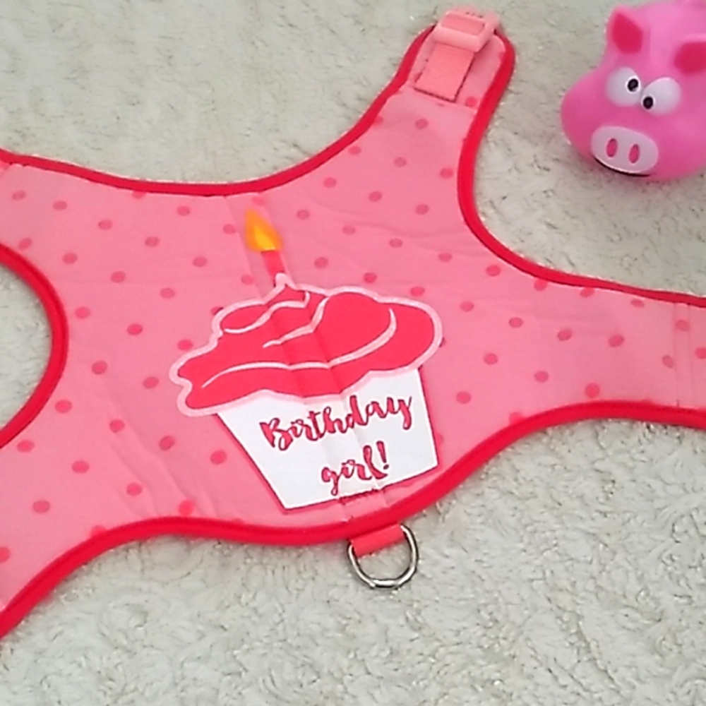 Birthday Girl harness - Picture 2 of 6